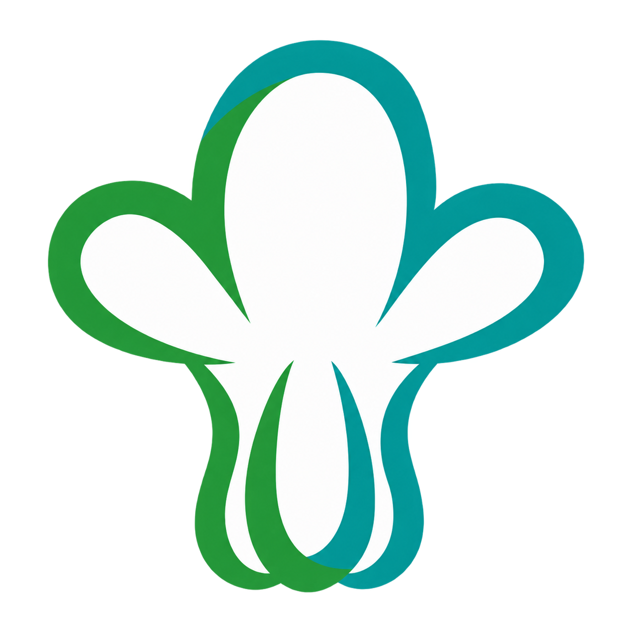 Tianz Vegetables Co., Ltd