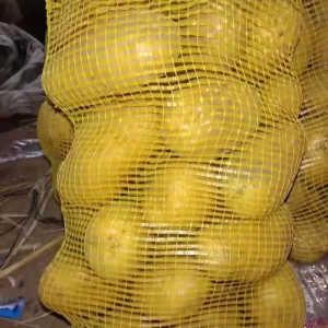 100% Natural Fresh Potato Export Factory Potato Price for High Quality Bulk Potatoes