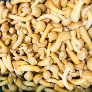 100% Natural Nameko Mushrooms IQF Quick Frozen to Preserve Unique Smooth Texture Ready to Cook Year Round Supply Custom Packing