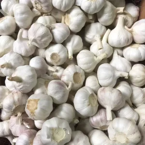 10kg Carton of Fresh Garlic Seed Peeled Ajo Ail Alho From China in Mesh Bags Fresh Vegetables