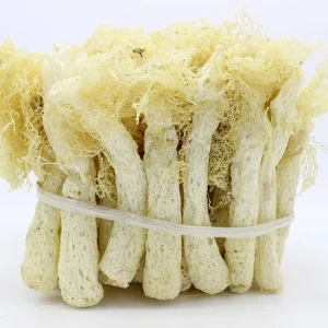 12017 Zhu Sun Natural Dried Edible Mushroom Bamboo Fungus for Food