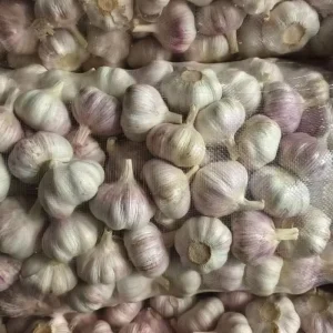 2024NEW CROP Quick Delivery of Fresh Vegetables Ordinary White Garlic