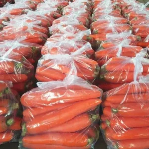 2026 New Crop Fresh Carrots Shandong China