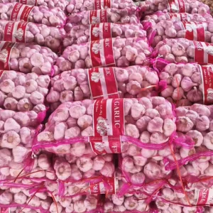 4 5 6 8 10KG Bag Fresh Garlic China Alho Ajo Fresh Vegetables Fresh White Garlic Top Grade Chinese Garlic Supplier