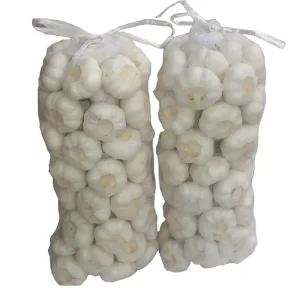 4.5 cm, 5.0 cm, 5.5 cm, 6.0 cm Fresh White Garlic Manufacturer