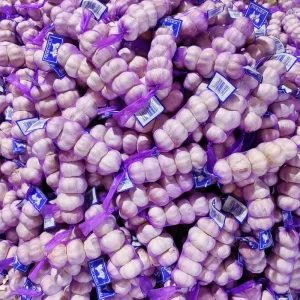 5.5cm Fresh Natural Garlic 10kg Mesh Bag Packing Pure White Garlic Best Grade Garlic Price