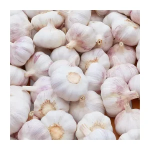 5cm Fresh Natural Garlic GLOBAL GAP Certified Green Vegetables Export