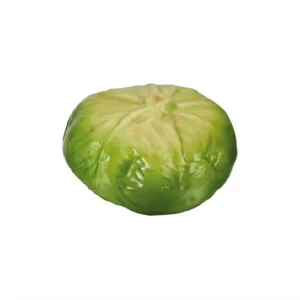 90200.01 Plastic Model of Cabbage