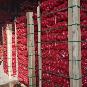 A Fresh Vegetables China Fresh Onion Supplier Fresh Yellow Onion Red Onion High Quality Factory Exporter at Price