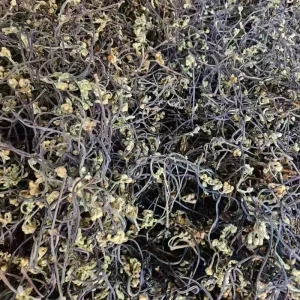 Air Dried Dehydrated Bracken Dried Vegetables