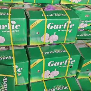 Ajo Ail Frais Shandong Carton Package Newest Crop China Garlic Fresh White Garlic Optimum Brand 5cm Pure Normal Wholesales Price