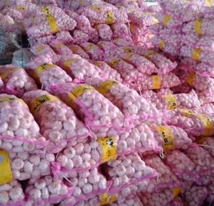 Ajo Clean Fresh Garlic Free From Mold & Sprouts Top Grade Newest Crop Shandong Origin Optimum Brand Exporter