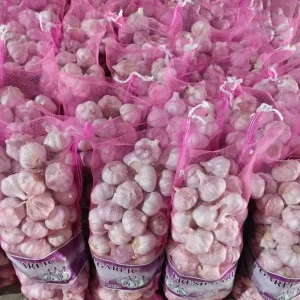 Ajo Cost Effective Fresh Garlic Natural Planting Raw Material Alho Ail Freshvegetables Fresh Garlic for International