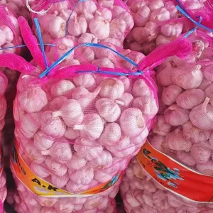 Ajo Latest Crop Fresh Garlic with Red and White Garlic Chinese Garlic for International Supply Garlic Ail
