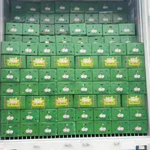 Alho Newest Crop Fresh Garlic China Fresh Pure Normal White Garlic Fresh White Garlic Price Factory Supplier Ajo Ail