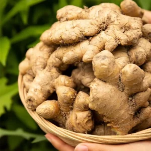 Authentic Chinese Fresh Small Yellow Ginger Factory Export Grade Fresh Ginger 25kg Custom Plastic Packaging