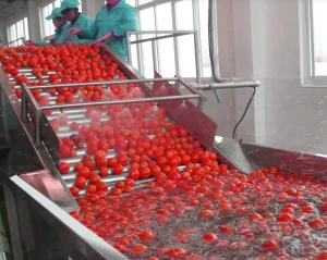 Automatic Fruit and Vegetable Washing Machine with Brush and Bubble Cleaning