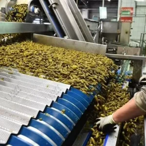 Automatic Pickle Processing Line For Canning Includes Mixer Fryer Washer Pasteurizer New Pickled Cucumber Fruit Production