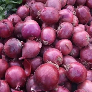 BRC A Approved High Quality Non peeled Fresh Vegetable Red Onion from Sinocharm