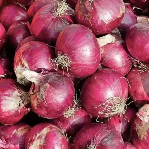 Best Selling Red Onions Fresh Vegetables and Packaged for Export Natural Fresh Red Onions