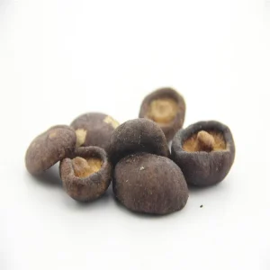 Best Selling Shiitake Mushrooms Healthy Nutritious Crisp Dehydrated Vegetable Snack Vacuum Low Temperature Fried Maltose Salty