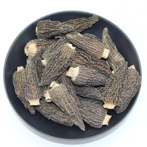 Black Morel Mushroom Morchella