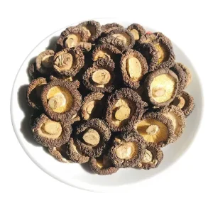 Bulk Dried Shiitake Mushroom China Edible Mycological Herb Xiang Gu for Cooking Extract and Powder