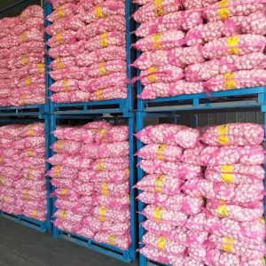 Bulk Fresh White Garlic Fresh Garlic China Fresh Garlic Price Professional Supplier Ajo Fresh Factory