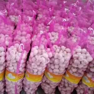 Bulk Fresh White Garlic Fresh Garlic Price Professional Supplier Ajo Fresh Garlic China Factory
