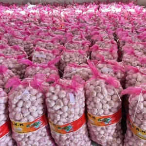 Bulk Fresh White Garlic Supplier of Fresh Vegetables