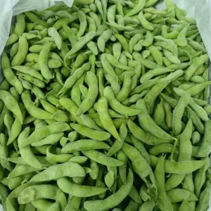 Bulk IQF Frozen Edamame Whole In Pod Healthy Green Vegetable For Global Distribution