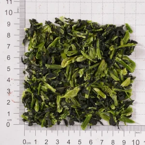 Bulk Supply of Air Bok Choy Green Leaf Vegetable for Food Processing