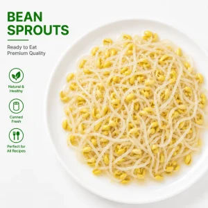 Canned Bean Sprouts Private Label Halal Certified Ready-to-Eat Brine Preserved 425g 3 Year Shelf Life