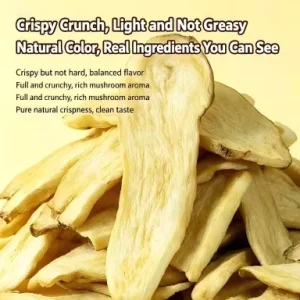 Canned Crispy King Oyster Mushroom Chips Natural Vegetable Crisps Bulk Dry Mushroom Snack Food king oyster Mushroom