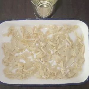 Canned King Oyster Mushroom in Water Brine Preserved Ready to Eat
