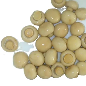 Canned Mushrooms Whole, Halves, Pieces, or Slices