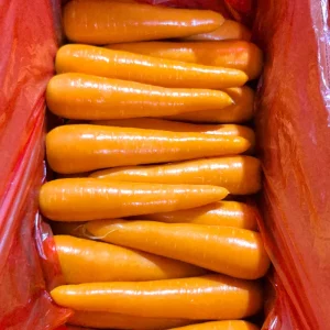 Carrot Planting Seeds S M L 2L