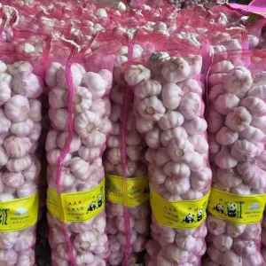China Ail White Garlic Fresh Garlic Vegetables New Garlic Alho Normal White Garlic Chinese Garlic Dried Fresh Vegetable