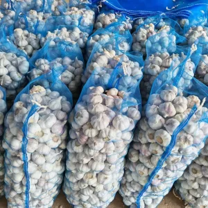 China Alho Fresh White Garlic Fresh Garlic China Fresh Garlic Price Professional Exporter Ajo Ail Frais
