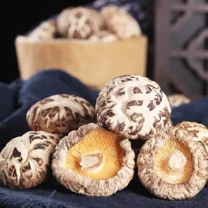 China Dried Korean Edible Mushrooms
