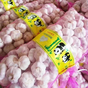 China Fresh Bulk Garlic Market Price 1kg 10kg 20kg Exporter in Dubai
