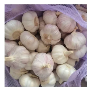 China Fresh Garlic Manufacturer Vegetables Normal White and Pure White Garlic Ajo Alho