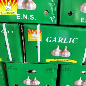 China Fresh Peeled Garlic Top Grade Newest Crop OPTIMUM Brand From Jinxiang Shandong for Exporting