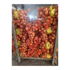 China Fresh Red Yellow and White Onions 20kg Mesh Bag Yellow Onion