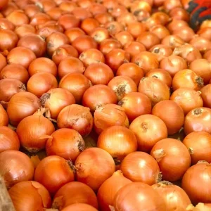 China Fresh Vegetables Manufacturer Red Yellow Onions Price New Season Fresh Onion Exporter