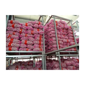 China Garlic Fresh Vegetable Normal White Pure White Garlic Price Supplier Fresh White Garlic Exporter Bulk Packing