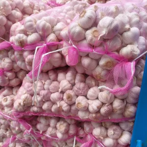 China Garlic Supplier High Quality Fresh Vegetable Garlic Price Bulk Price