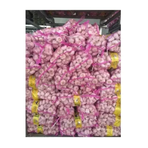 China Garlic Supplier High Quality Fresh Vegetable Garlic Price Bulk Price