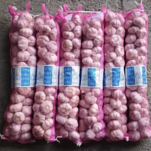 China Garlic Supplier High Quality Fresh Vegetable Garlic Price Garlic Bulk for Sale