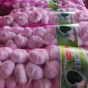 China Good Garlic Brand Supplier Vegetables Agricultural Export Pure Fresh White Garlic with